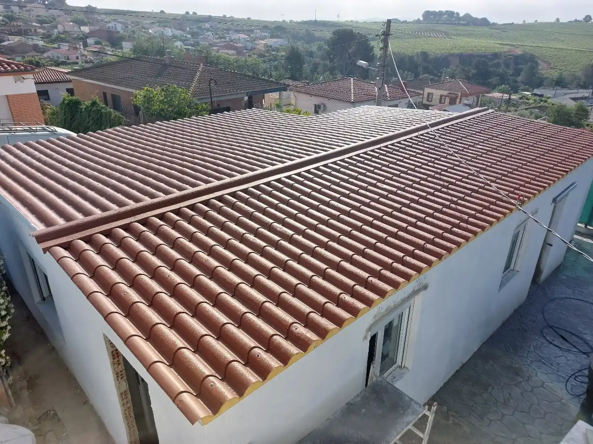 Vista Aerea De La Casa Sobre Todo Del Tejado 2